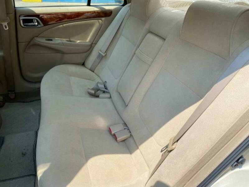 BLUEBIRD SYLPHY