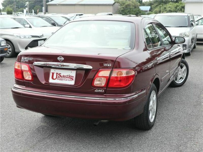 BLUEBIRD SYLPHY