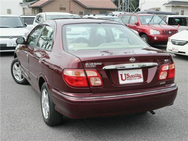 BLUEBIRD SYLPHY