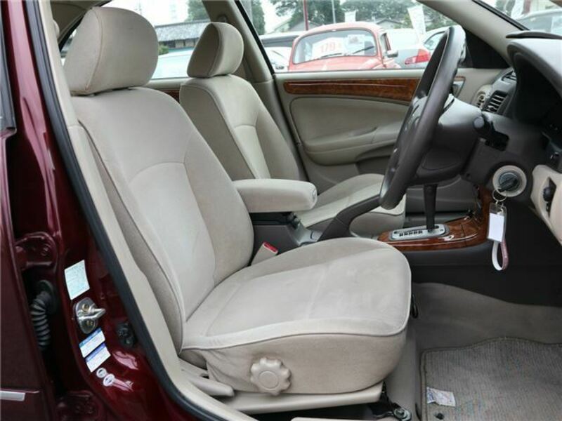 BLUEBIRD SYLPHY