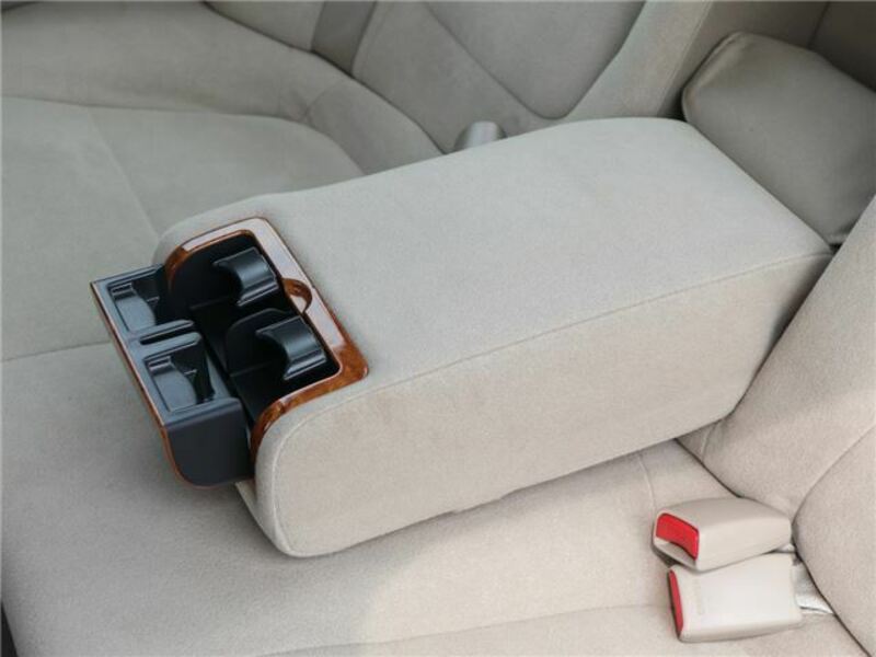 BLUEBIRD SYLPHY