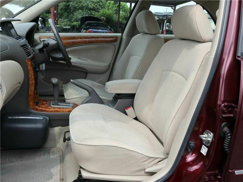 BLUEBIRD SYLPHY