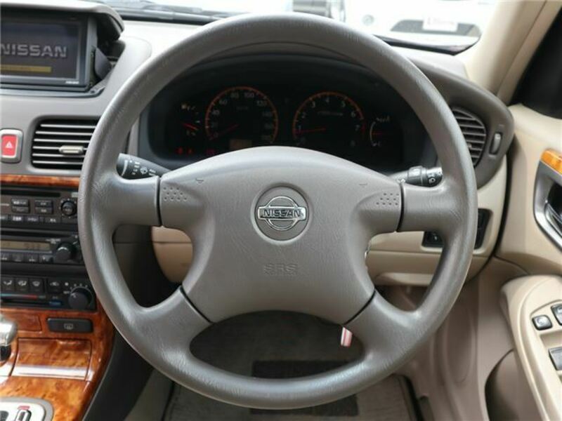 BLUEBIRD SYLPHY
