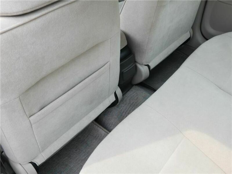 BLUEBIRD SYLPHY