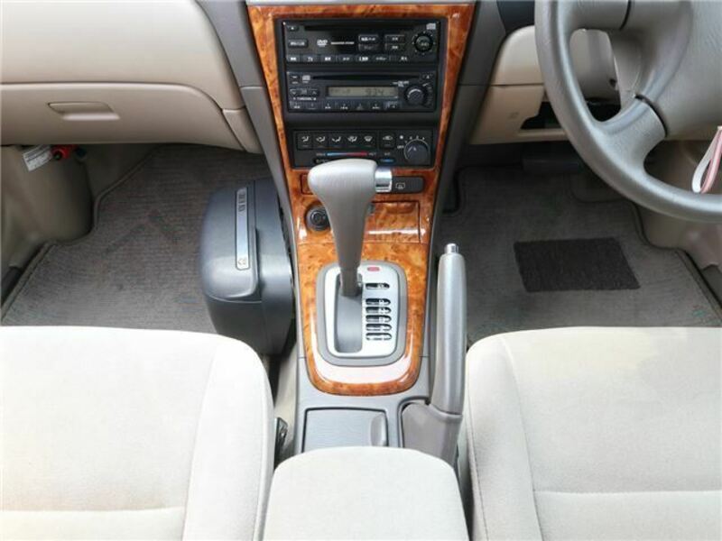 BLUEBIRD SYLPHY