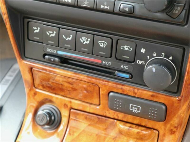 BLUEBIRD SYLPHY