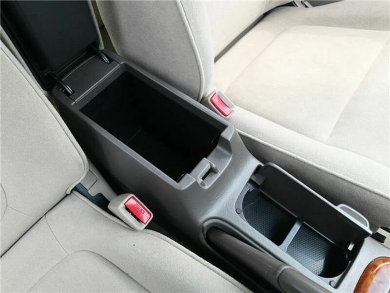 BLUEBIRD SYLPHY