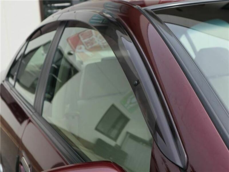 BLUEBIRD SYLPHY