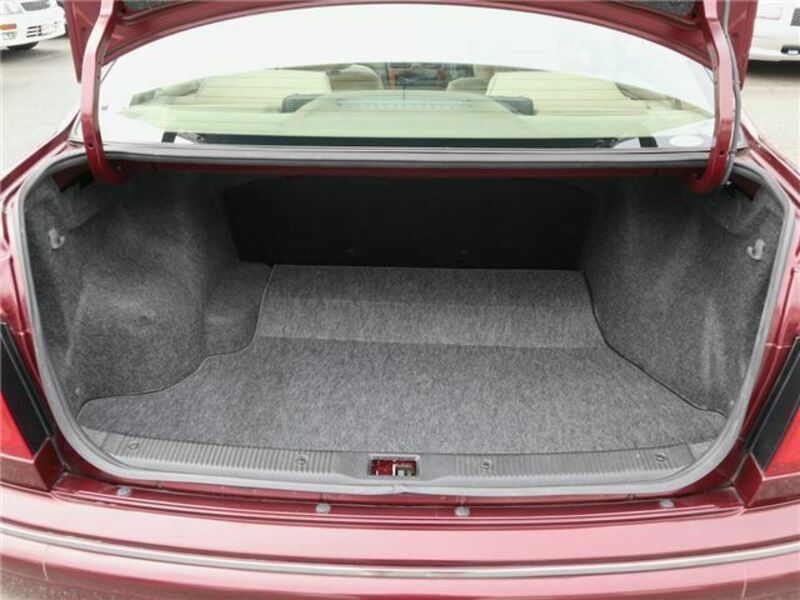 BLUEBIRD SYLPHY