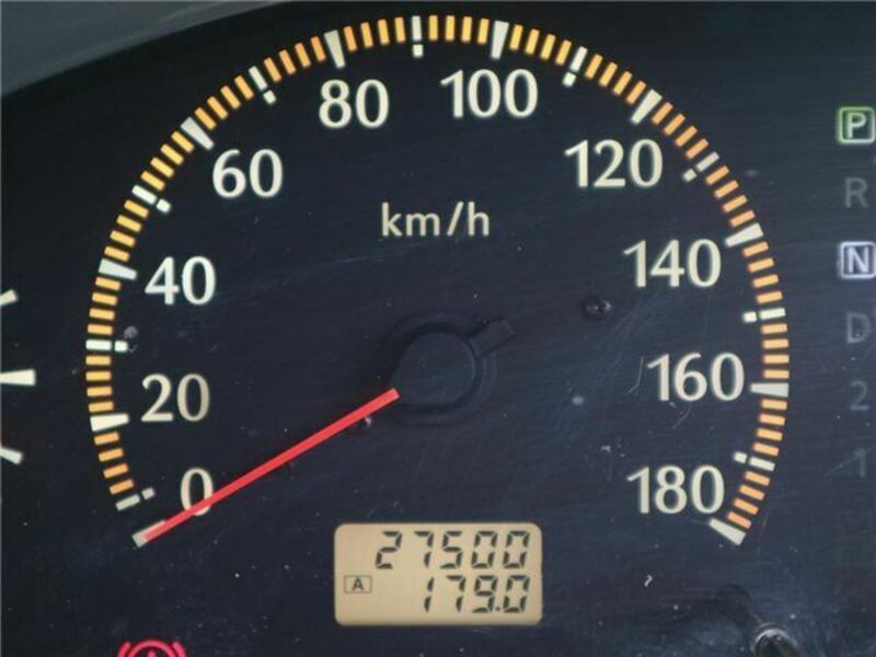 BLUEBIRD SYLPHY