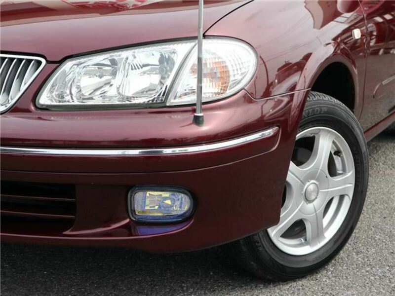 BLUEBIRD SYLPHY