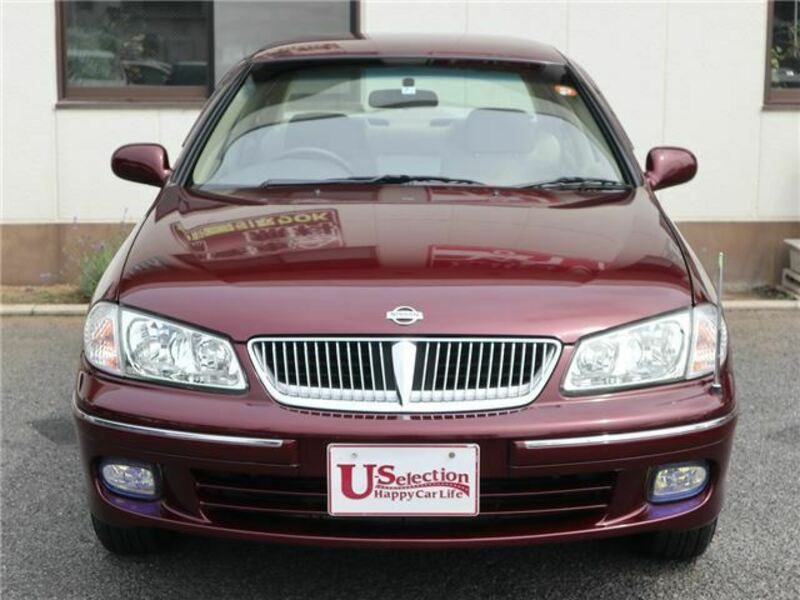 BLUEBIRD SYLPHY