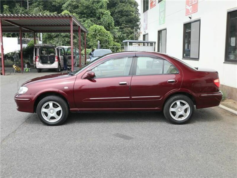 BLUEBIRD SYLPHY