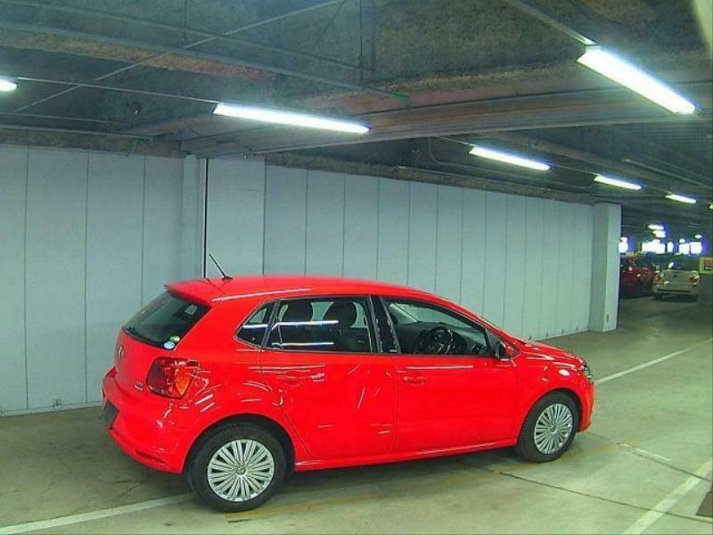 POLO-3