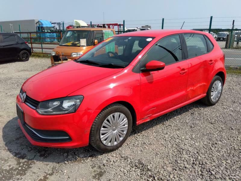 POLO-6