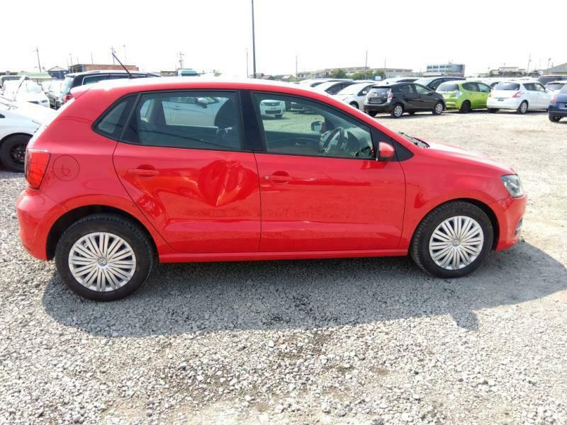 POLO-7