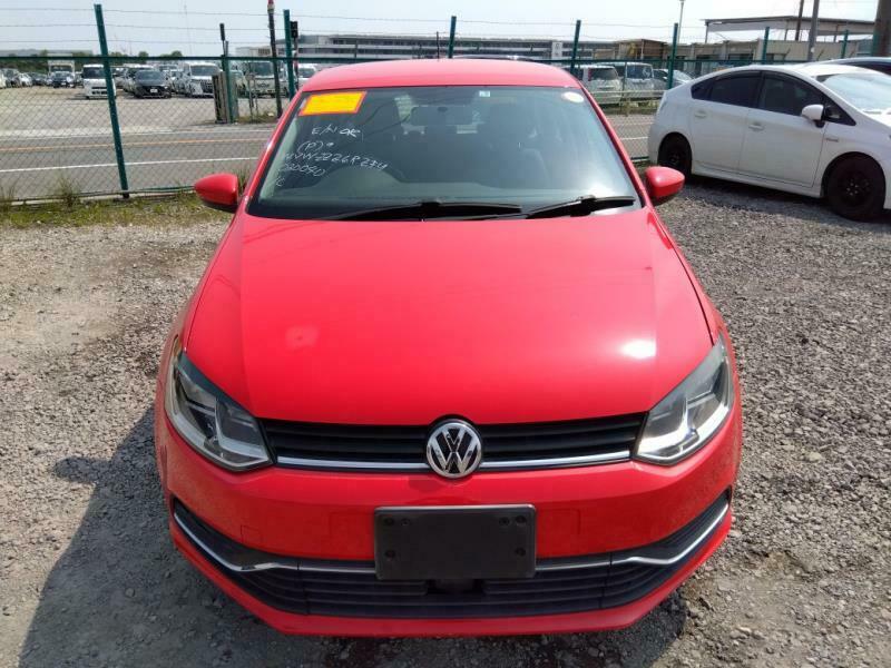 POLO-8