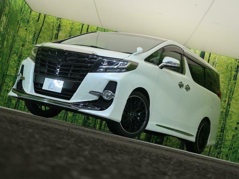 ALPHARD-24