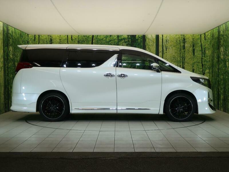 ALPHARD-42