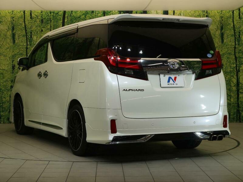 ALPHARD-13