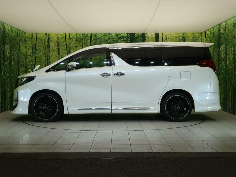 ALPHARD-22