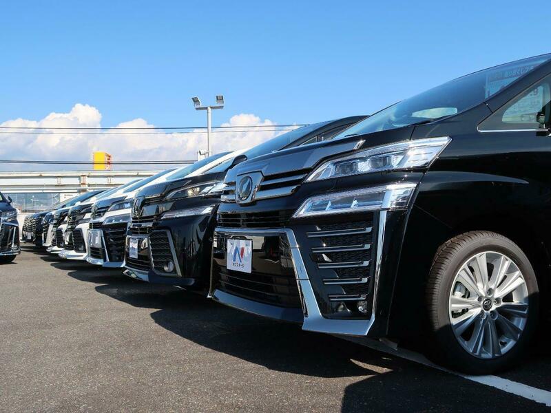 ALPHARD-14