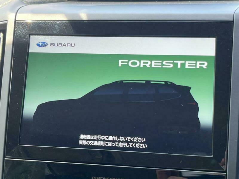 FORESTER