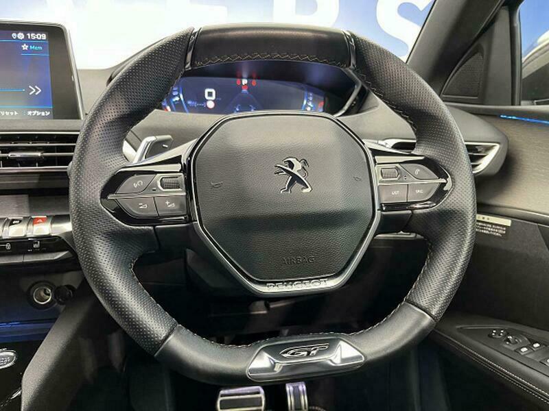 3008