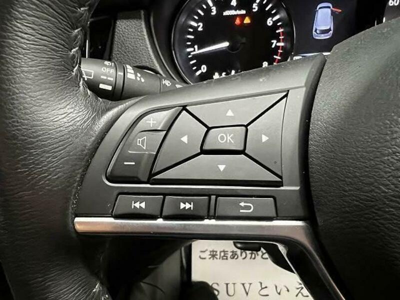 X-TRAIL-13