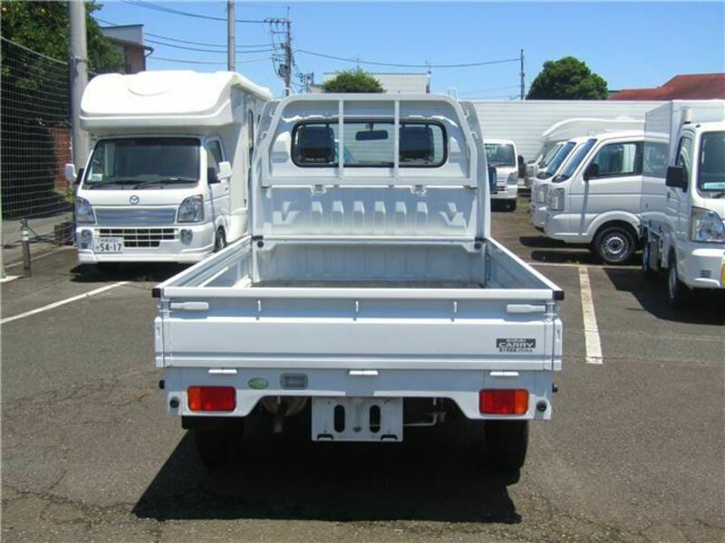 CARRY TRUCK-4
