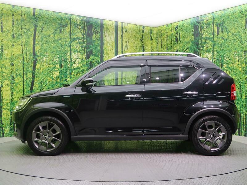IGNIS-2