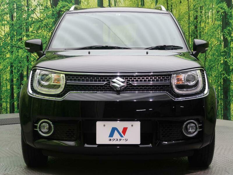 IGNIS-20