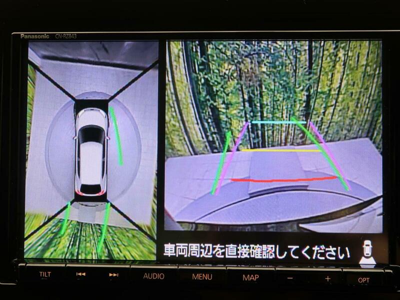 IGNIS-10