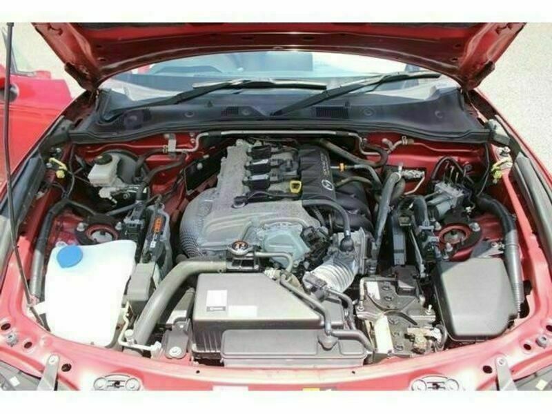 ROADSTER RF