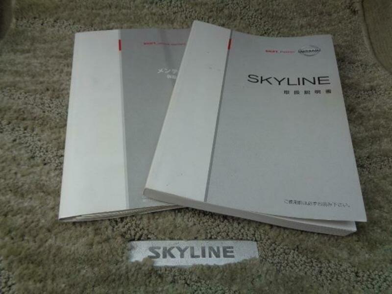 SKYLINE-10