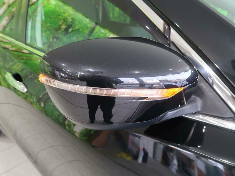 X-TRAIL-25