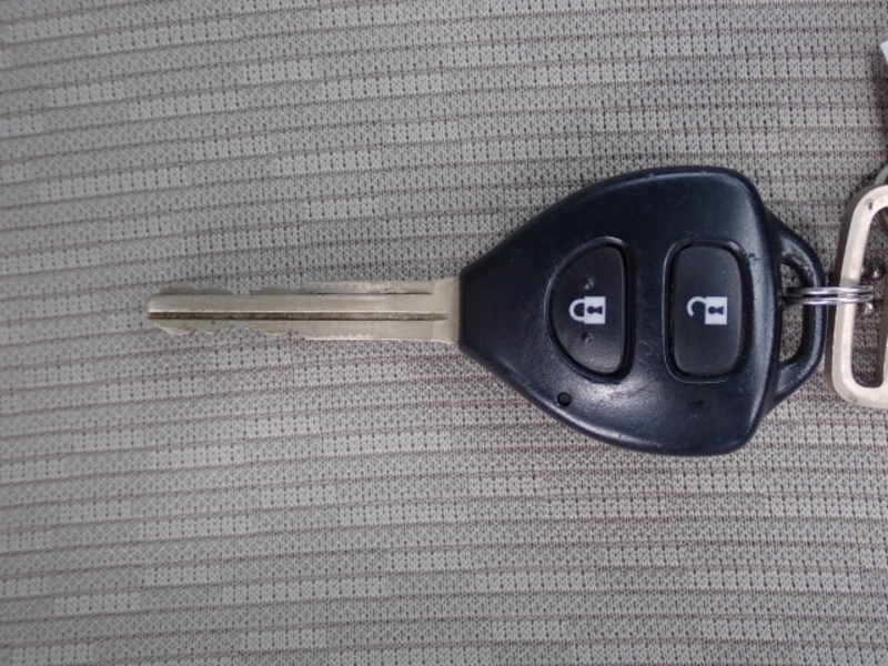 BELTA