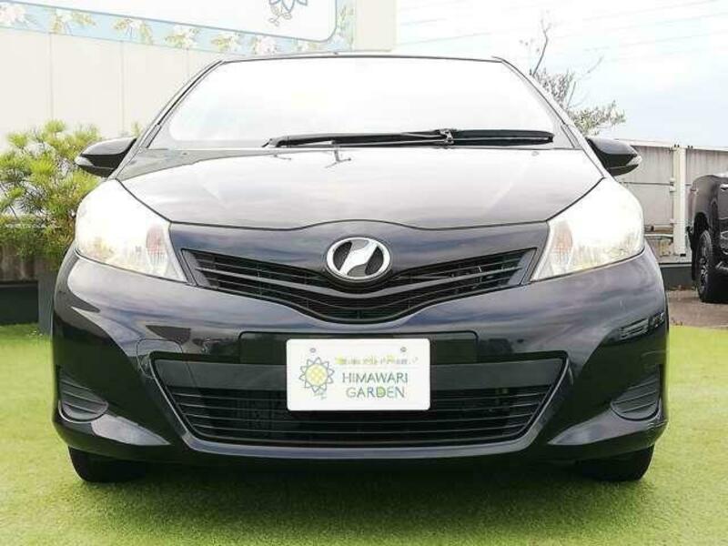VITZ-8