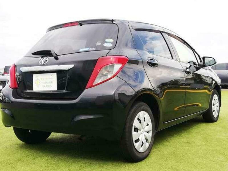 VITZ-1