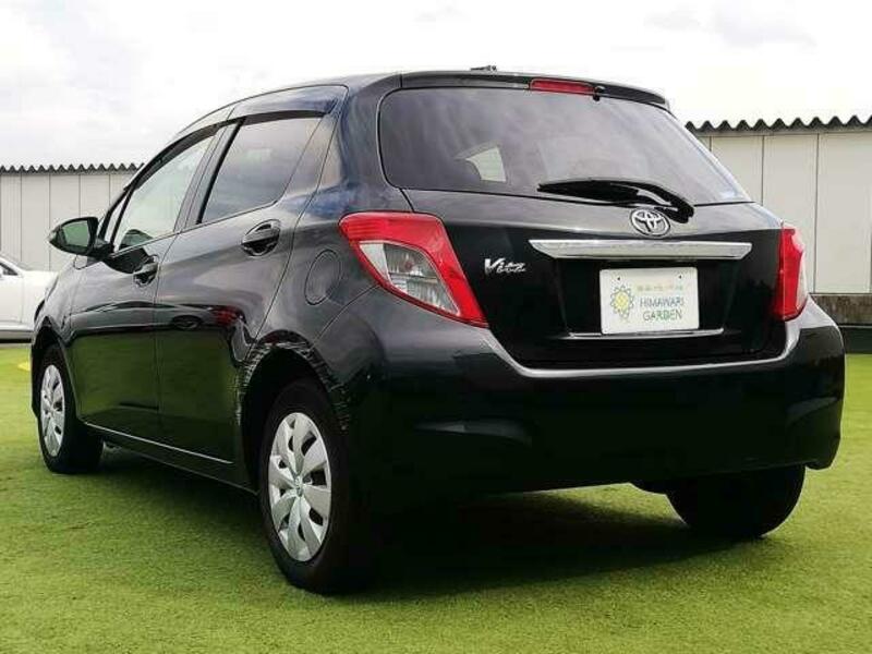 VITZ-3