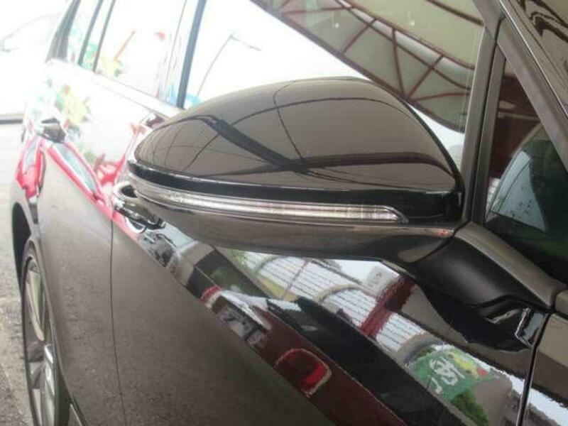 GOLF VARIANT