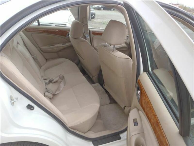 BLUEBIRD SYLPHY