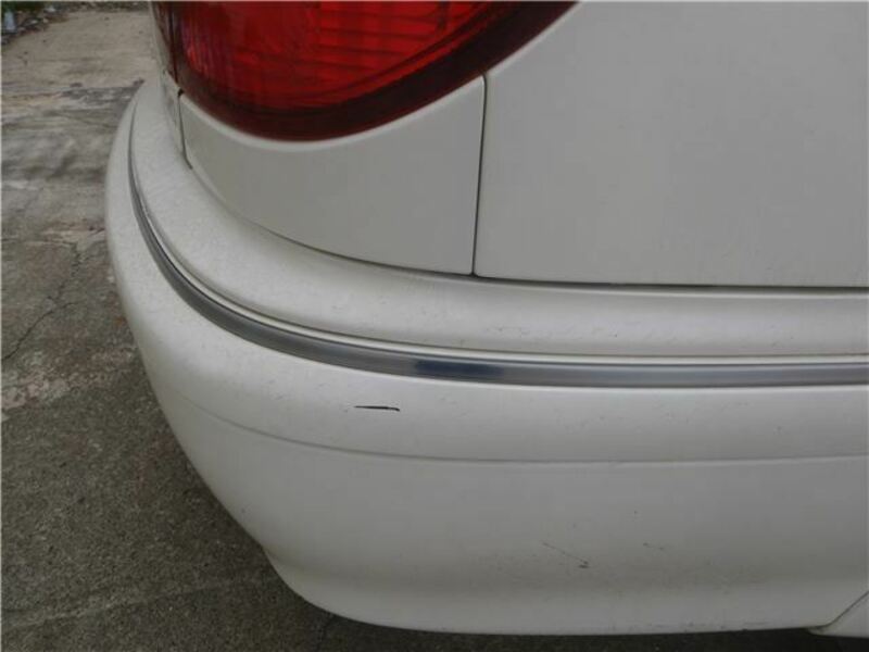 BLUEBIRD SYLPHY