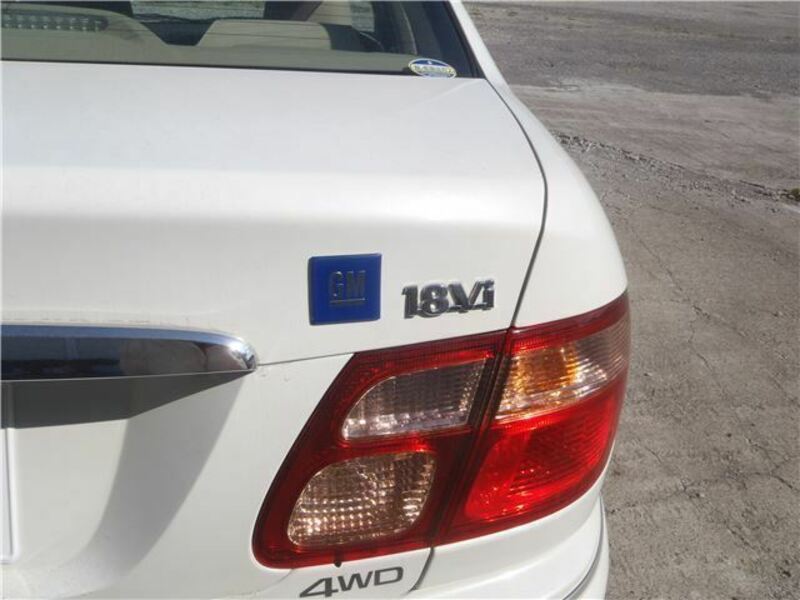 BLUEBIRD SYLPHY