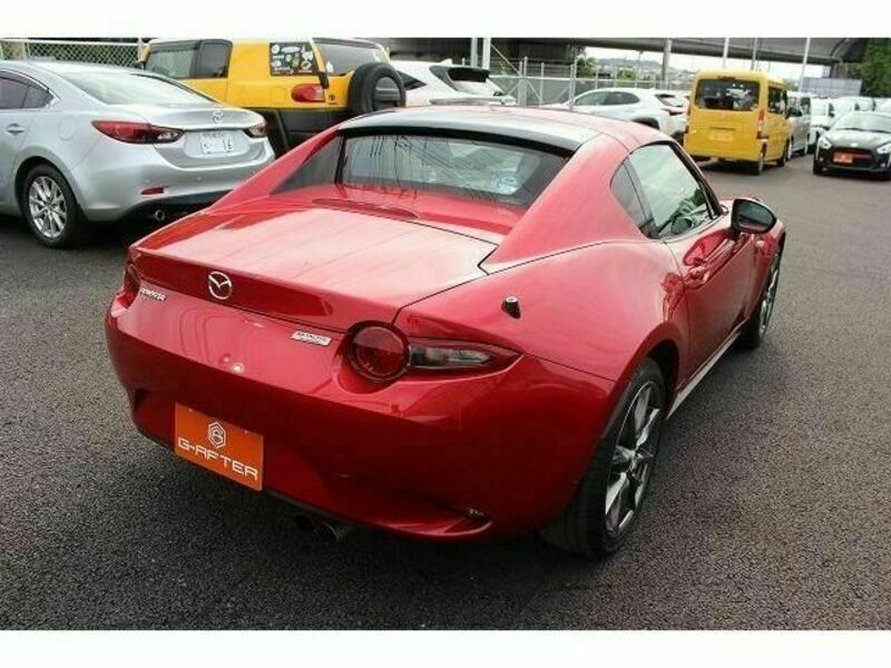 ROADSTER RF