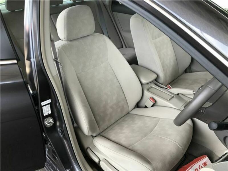 BLUEBIRD SYLPHY
