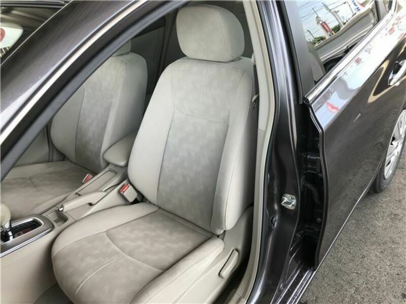 BLUEBIRD SYLPHY