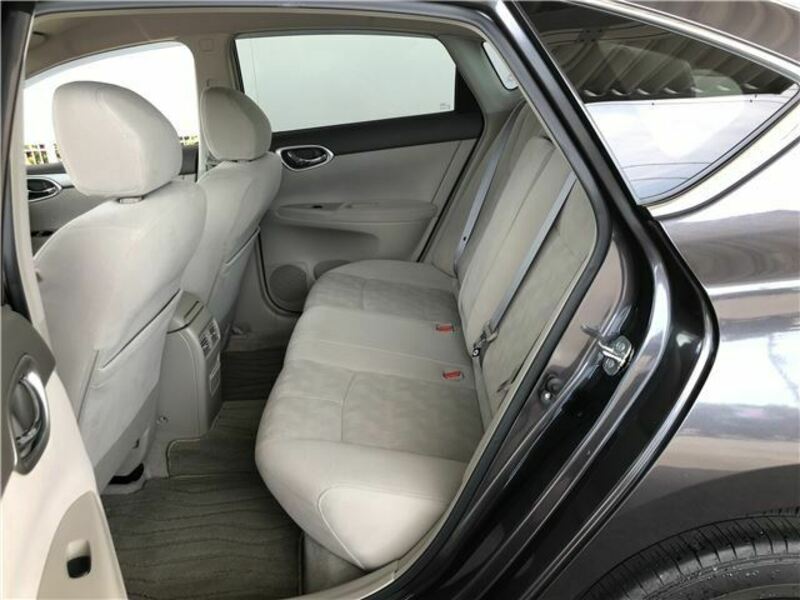 BLUEBIRD SYLPHY