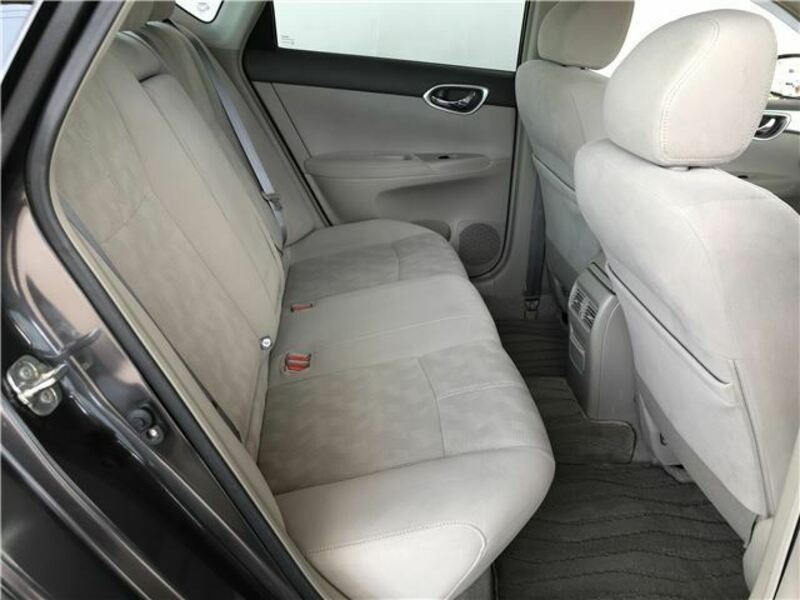 BLUEBIRD SYLPHY