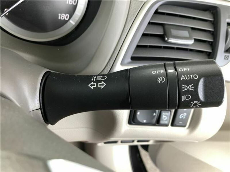 BLUEBIRD SYLPHY